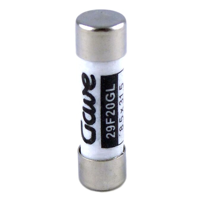 FUSIBLE CILINDRICO  20A. GG T00