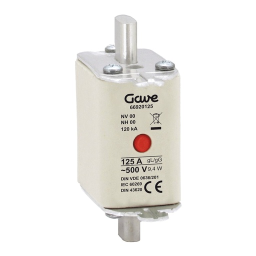 [66920125] FUSIBLE NH IND.FUSION 125A.GG T00