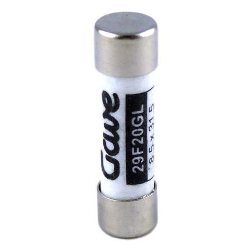 [29F20GL] FUSIBLE CILINDRICO  20A. GG T00