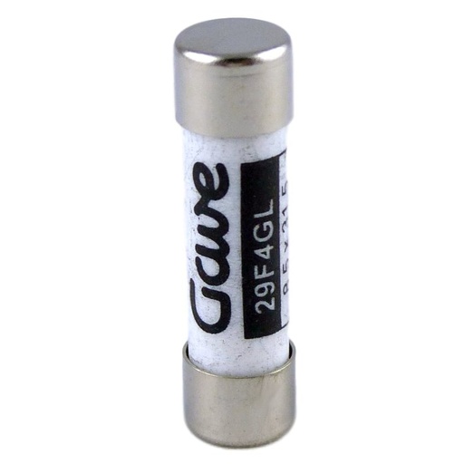 [29F4GL] FUSIBLE CILINDRICO   4A. GG T00