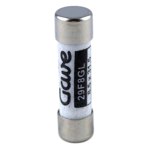 [29F8GL] FUSIBLE CILINDRICO   8A. GG T00