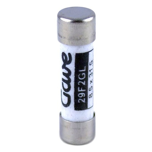[29F2GL] FUSIBLE CILINDRICO   2A. GG T00