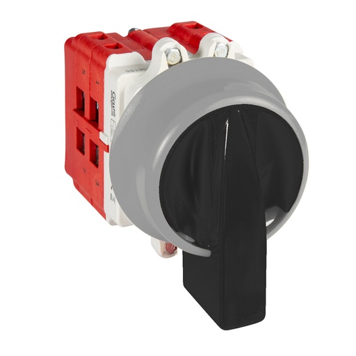 [AB5516100H] INTERRUPTOR 2P GAVE 63A.D2 MANDO BLOQUEO CANDADO IP69K